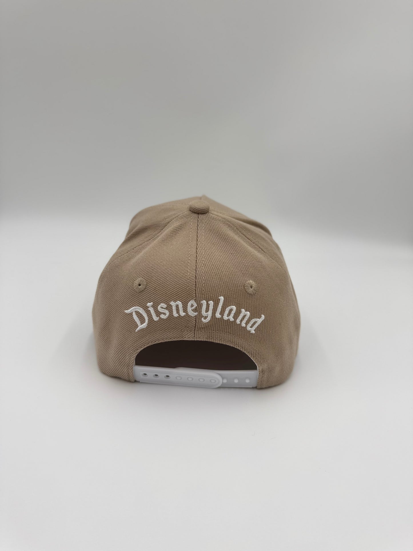 DL Baseball Caps