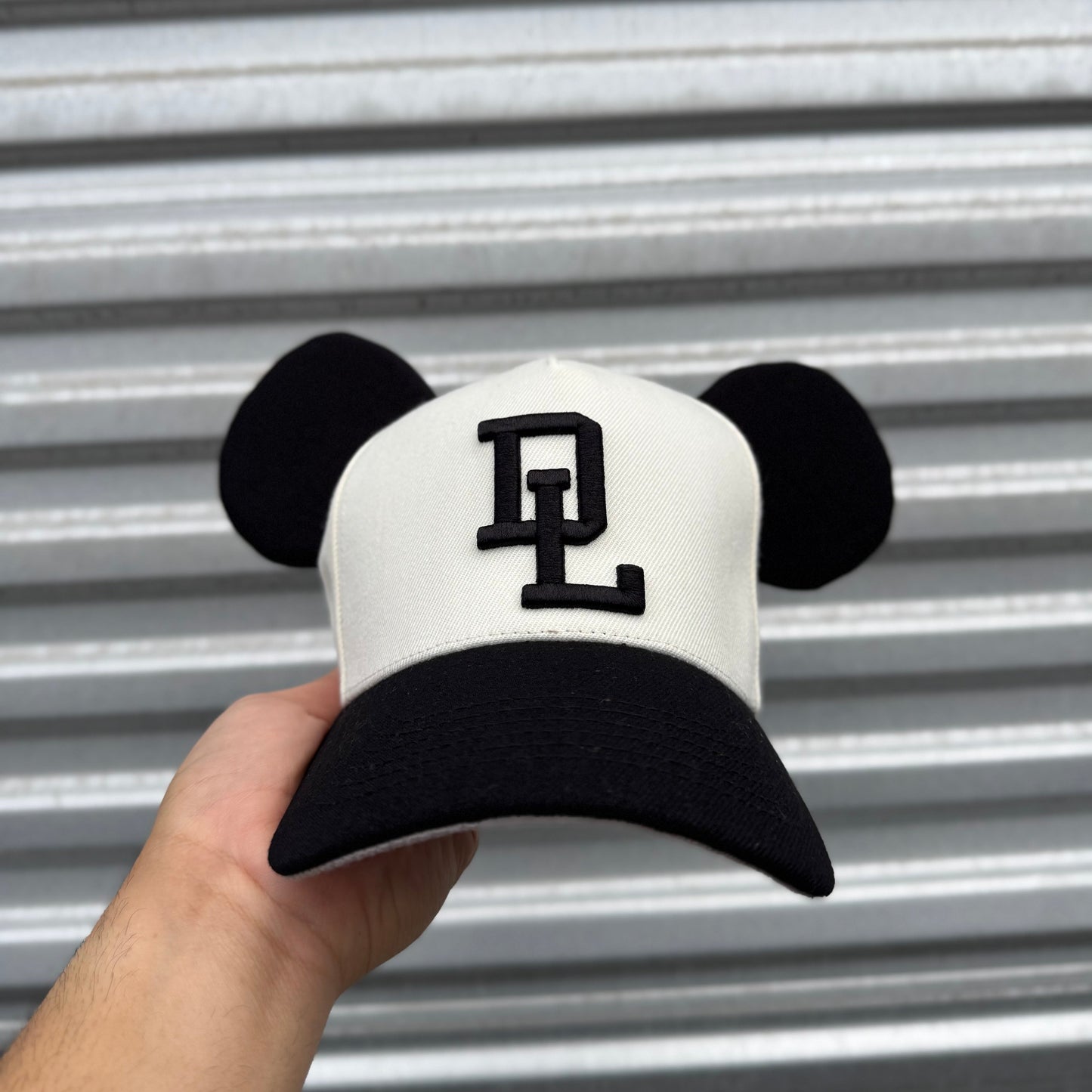 DL Baseball Caps