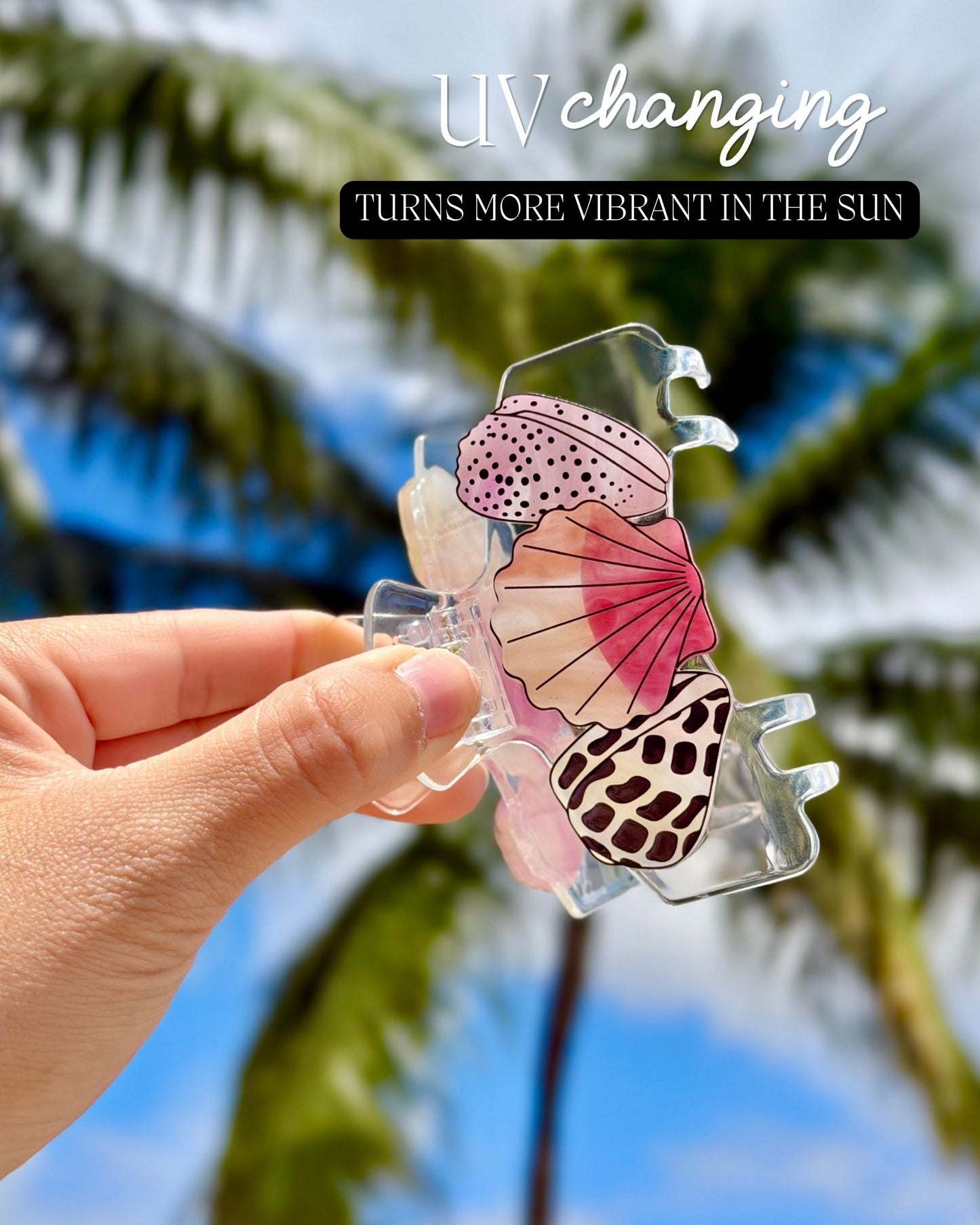 HAT HAIR CLIP - Shell Collector